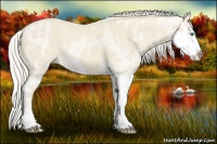 Horse Color:Cremello Splash and Cremello Dun Splash