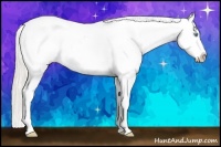 Horse Color:Silver Classic Champagne Pearl Varnish 