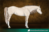 Horse Color:Cremello Splash  and Liver Red Dun Pearl Splash 