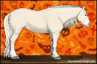 Horse Color:Cremello Splash  and Cremello Splash 