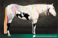 Horse Color:Void Painted Nacre White Spotted Buckskin Pearl and Buckskin Pearl Tobiano