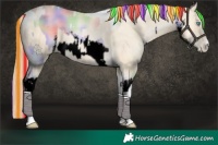 Horse Color:Void Painted Nacre White Spotted Buckskin Pearl and Buckskin Pearl Tobiano