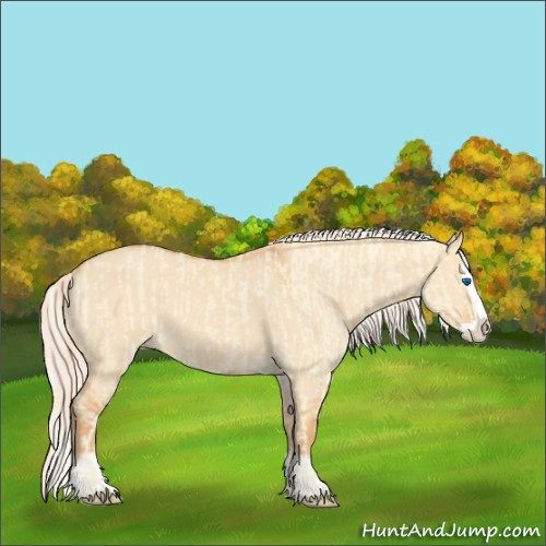Horse Color:Cremello Dun Splash and Gray Cremello Dun Splash