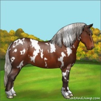 Horse Color:White Spotted Silver Brown