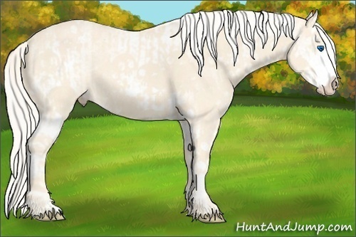 Horse Color:Cremello Splash and White Spotted Cremello Splash
