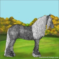 Horse Color:Silver Classic Cream Champagne Chinchilla Ice Appaloosa 