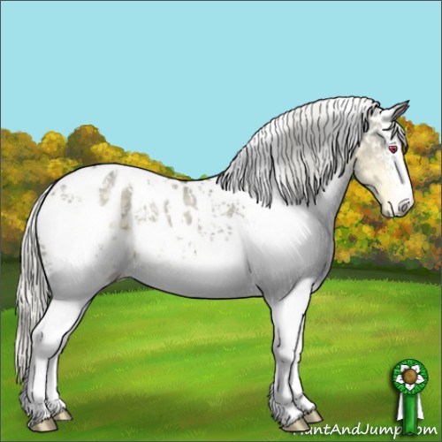Horse Color:White Spotted Silver Smoky Grullo Chinchilla Appaloosa 