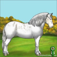 Horse Color:White Spotted Silver Smoky Grullo Chinchilla Near Leopard 