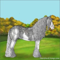 Horse Color:Silver Grullo Chinchilla Ice Splash 