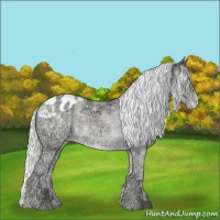 Horse Color:Silver Classic Cream Champagne Chinchilla Ice Appaloosa Rabicano 