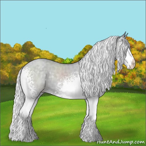 Horse Color:White Spotted Silver Classic Cream Champagne Chinchilla Dun Appaloosa Rabicano