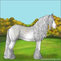 Horse Color:White Spotted Silver Classic Cream Champagne Chinchilla Dun Varnish Rabicano