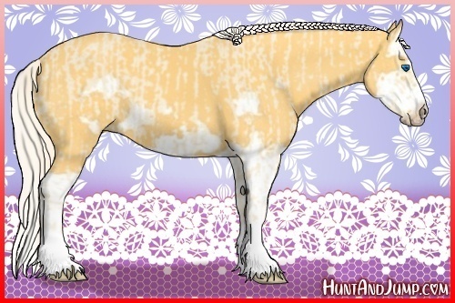 Horse Color:Cremello Splash Frame and Palomino Splash Frame