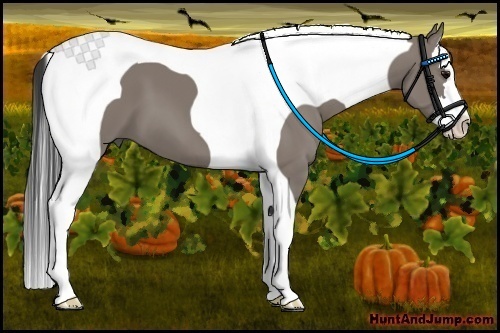 Horse Color:Grullo Splash Tobiano
