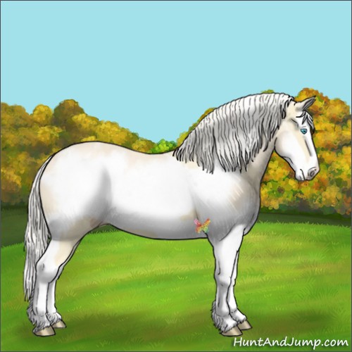 Horse Color:Cremello Splash  and Cremello Splash Frame 