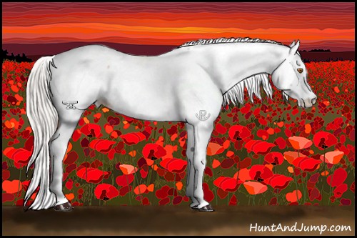 Horse Color:White Spotted Silver Black Pearl Fewspot 