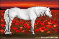 Horse Color:White Spotted Silver Black Pearl Fewspot 