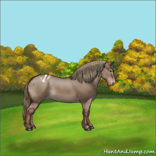 Horse Color:Liver Red Dun Appaloosa