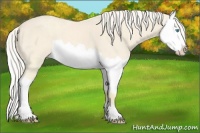 Horse Color:Cremello Roan Splash  and Cremello Roan Splash 