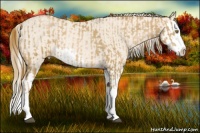 Horse Color:Red Roan Pearl Splash  and Cremello Roan Splash 