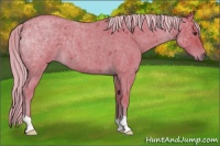 Horse Color:Watercolor Chocolate Palomino Roan 