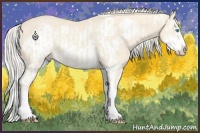 Horse Color:Cremello Splash  and Cremello Splash Frame 