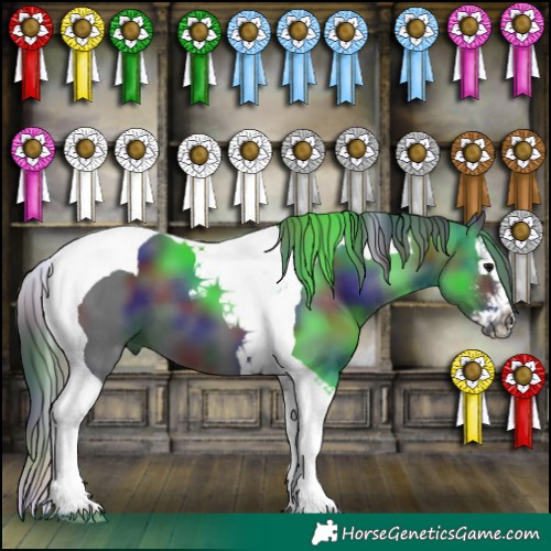 Horse Color:Nacre Black Sabino Splash Tobiano 