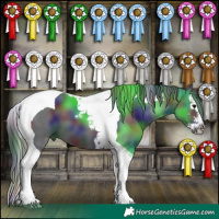Horse Color:Nacre Black Sabino Splash Tobiano 