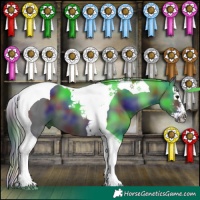Horse Color:Nacre Black Sabino Splash Tobiano 
