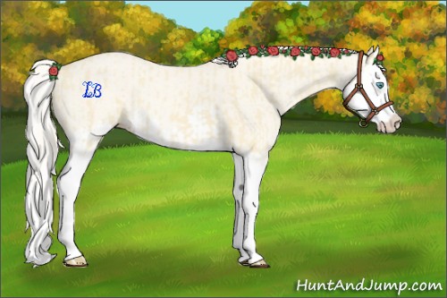 Horse Color:Cremello Splash and Cremello Dun Splash