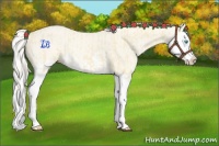 Horse Color:Cremello Splash  and Cremello Dun Splash 