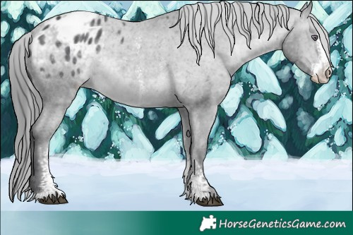 Horse Color:Brown Chinchilla Sabino Varnish 