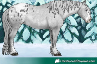 Horse Color:Brown Chinchilla Sabino Varnish 