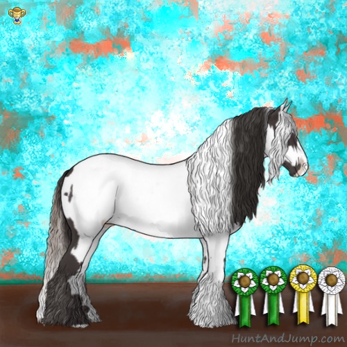 Horse Color:Smoky Black  and Smoky Black Appaloosa 