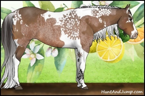 Horse Color:Buckskin Roan Splash Tobiano  and Buckskin Roan Splash Tobiano 