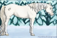 Horse Color:Amber Cream Champagne Roan Pearl  and Amber Cream Champagne Pearl Tobiano 