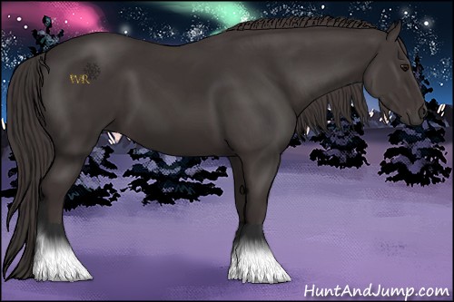 Horse Color:Smoky Black  and Smoky Black 