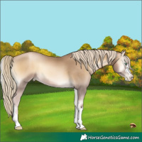 Horse Color:Chocolate Palomino Pearl Onyx Mushroom 