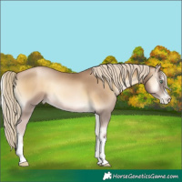 Horse Color:Chocolate Palomino Pearl Onyx Mushroom 