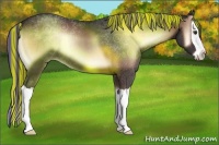 Horse Color:Painted Liver Red Onyx Splash