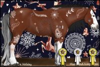 Horse Color:Gray Bay Splash 