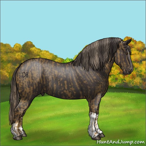 Horse Color:Chocolate Palomino  and Smoky Black Tobiano 