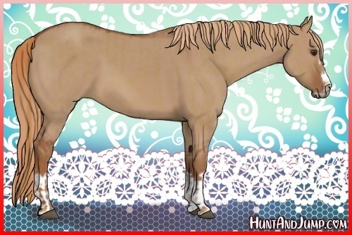 Horse Color:Red Dun Splash Frame and Red Dun Splash Frame