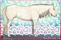 Horse Color:Buckskin Roan Pearl Dun  and Buckskin Roan Pearl Dun 