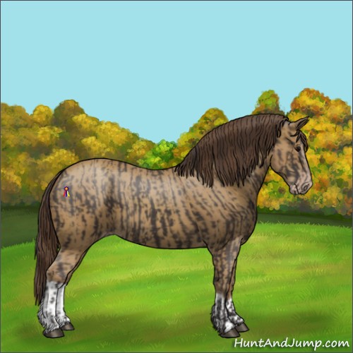Horse Color:Smoky Black and Classic Cream Champagne