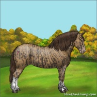 Horse Color:Smoky Black  and Classic Cream Champagne 