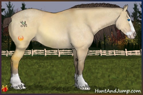 Horse Color:Sable Cream Champagne Dun Splash 