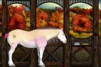 Horse Color:Sable Cream Champagne Onyx Splash 
