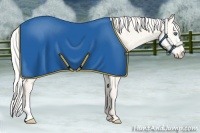 Horse Color:Silver Perlino Dun Frame 