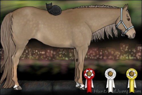 Horse Color:Chocolate Palomino 